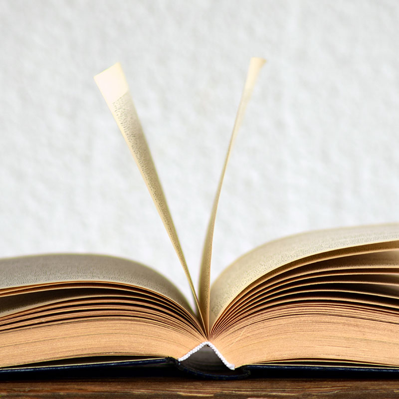 literatur